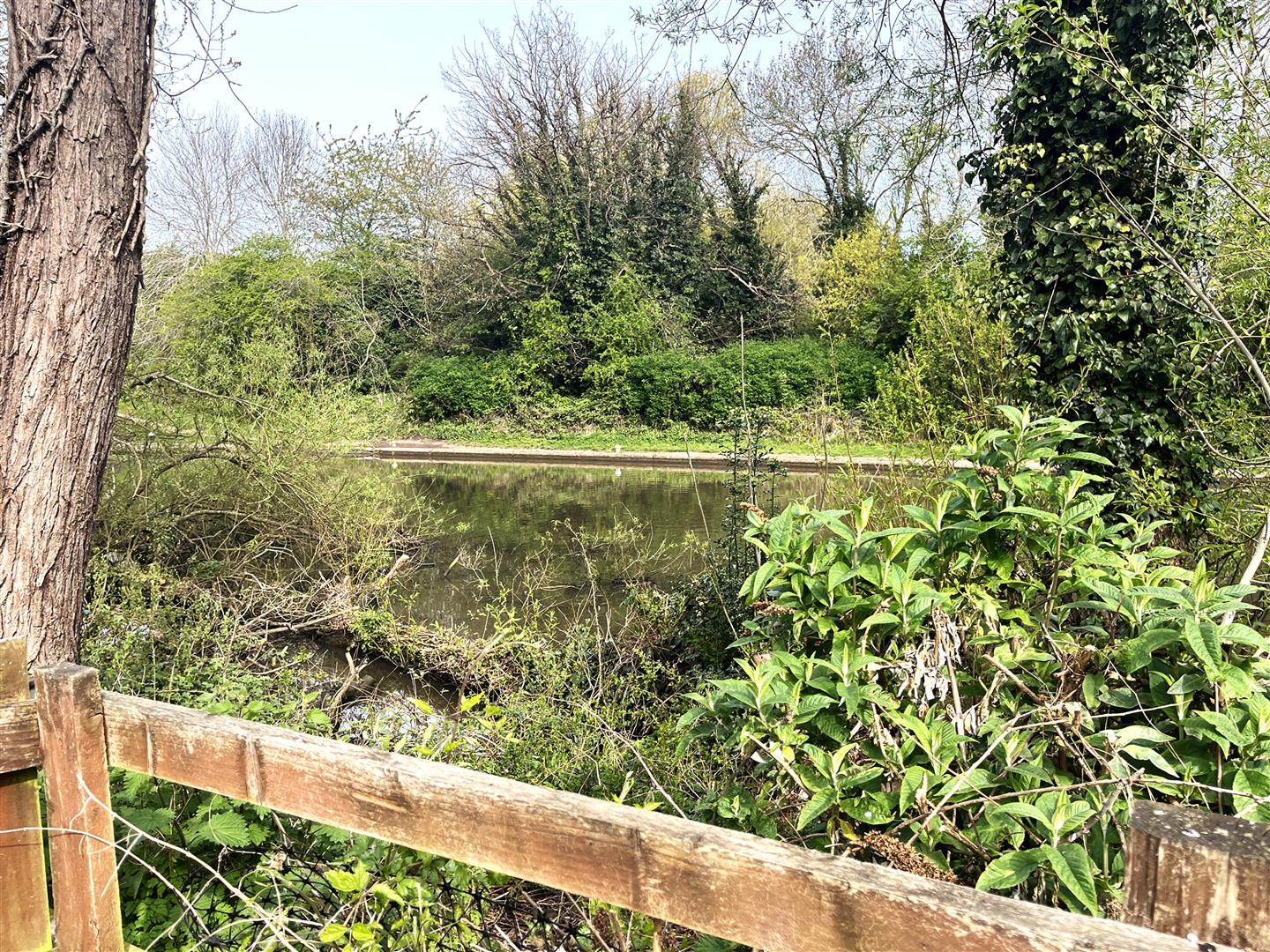 Hankinson Road, Warwick 18