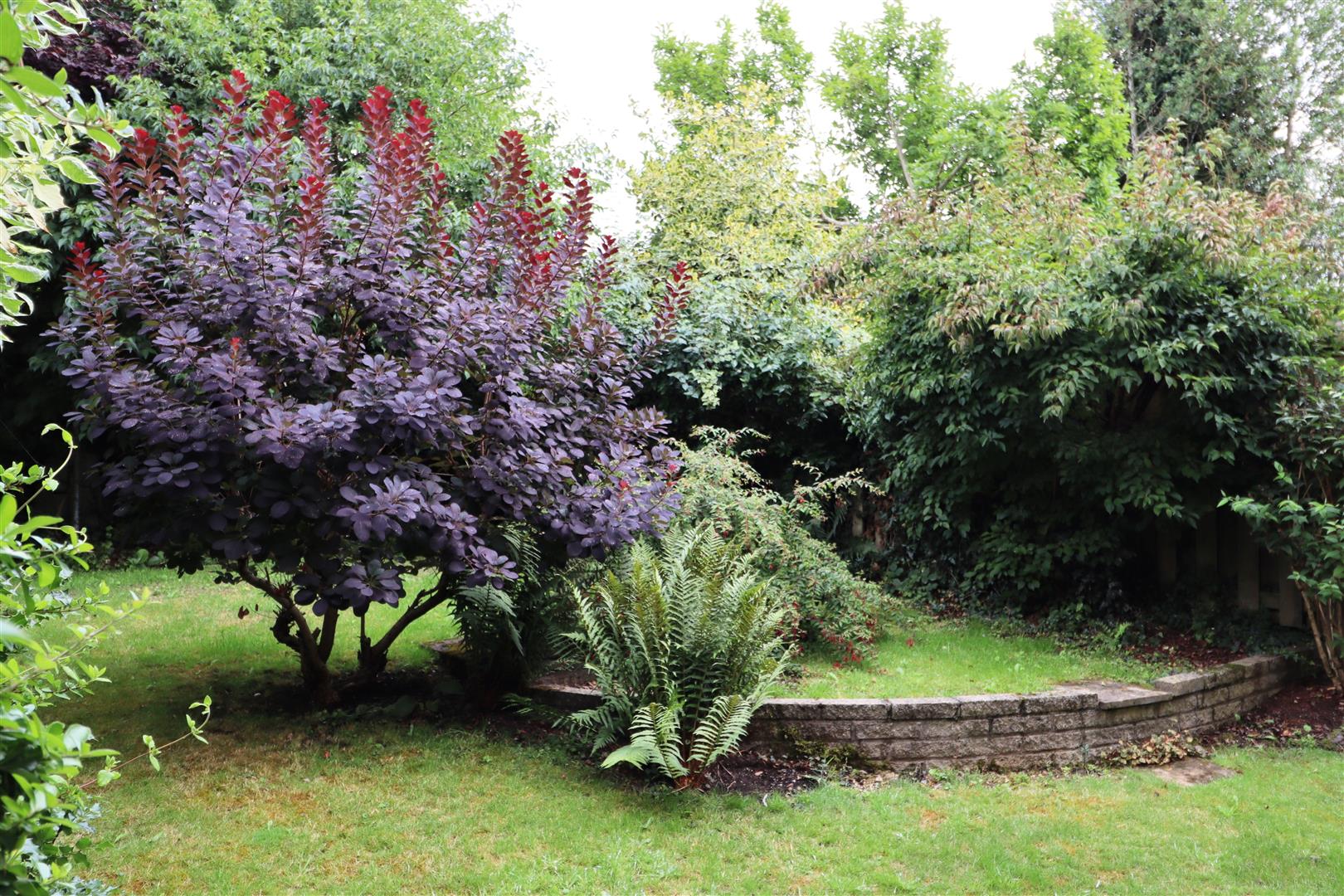 Cornwall Close, Warwick 10